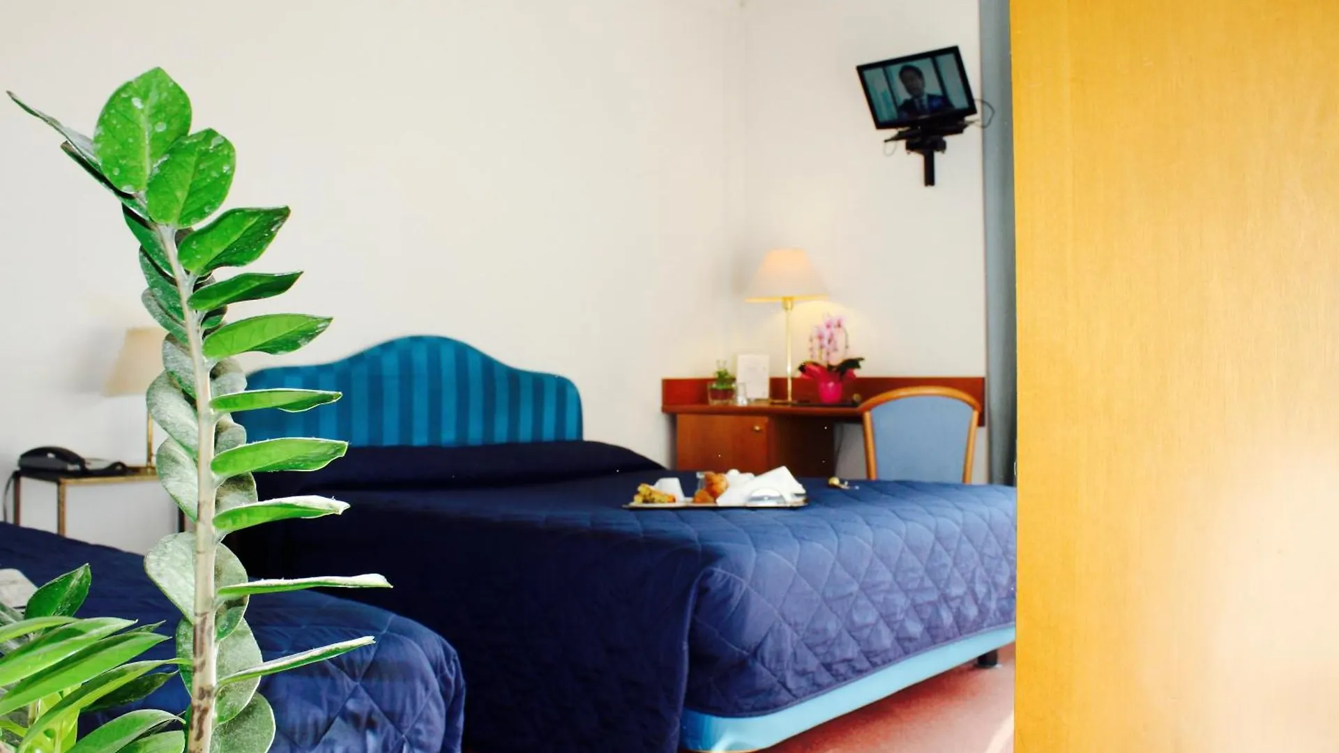 Arcangelo Roof Hotel Rimini 3*,  Italia