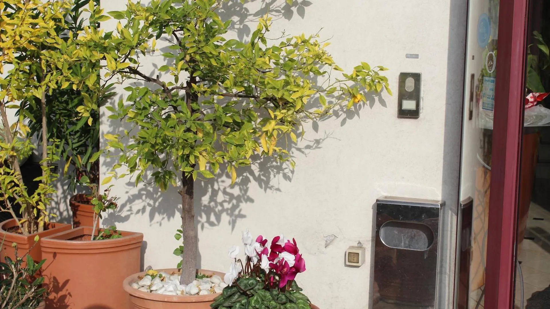 Arcangelo Roof Hotel Rimini Italia